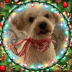 Meet your Posher, Jeanne